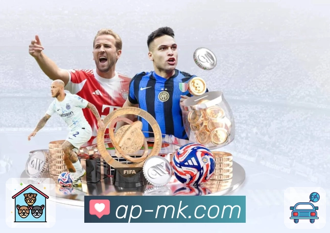 MK体育APP 封面图